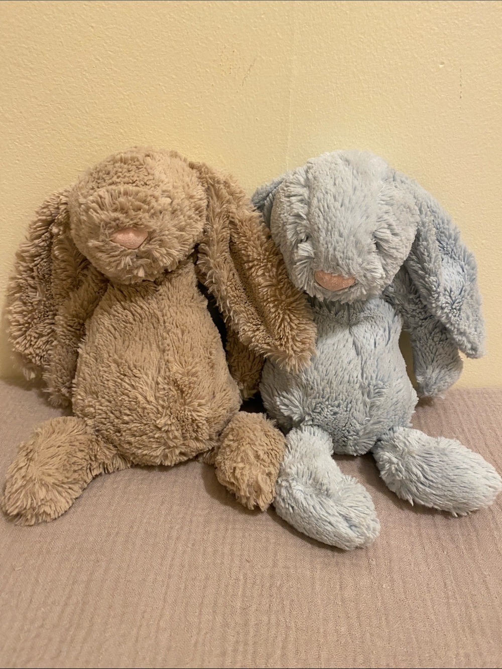 Jellycat Brown & Blue Bashful Bunny Plush. Set